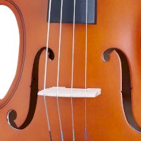 Houslová kobylka – All Music Instruments/Shutterstock