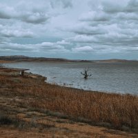 Adaminaby – Naraoneil / Shutterstock