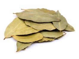 Bobkový list – Creatus / Shutterstock