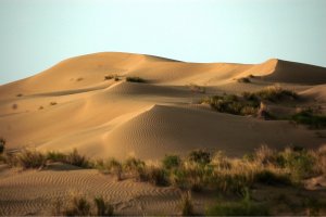 Poušť Karakum – Azat80 / Shutterstock