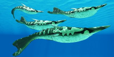 Vyhynulé ryby rodu Pteraspis, 3D ilustrace – Catmando / Shutterstock