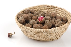 Vigna podzemní (Voandzeia subterranea), jednosemenné lusky v košíku – wasanajai / Shutterstock
