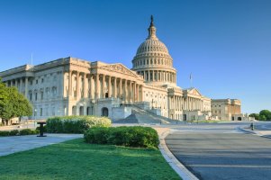 Kapitol, Washington D.C.  – Cvandyke / Shutterstock