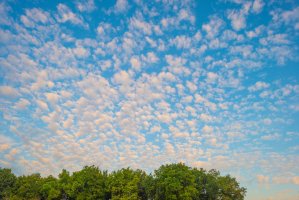 Cirrocumulus – Marijs Jan / Shutterstock