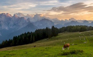 Julské Alpy – Sergey Golotvin/Shutterstock
