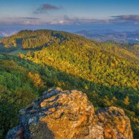 Sitno – Kluciar Ivan / Shutterstock