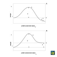 Schéma potenciálové bariéry: (A) exotermické reakce, (B) endotermické reakce; (1) výchozí látky, (2) aktivační energie, (3) aktivovaný komplex, (4-A) uvolněná, (4-B) pohlcená energie, (5) reakční zplodiny.