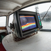 Sonar – Trygve Finkelsen / Shutterstock