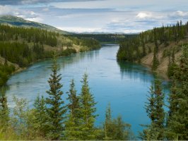 Řeka Yukon – Pi-Lens/Shutterstock