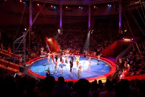 Cirkus – Pavel L Photo and Video / Shutterstock