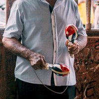 Hra na maracas (rumba koule) – Yuting Gao/Pexels.com