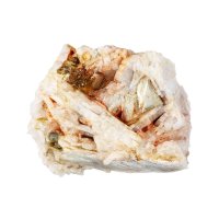 Albit – KrimKate / Shutterstock