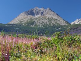 Gerlachovský štít – jareso / Depositphotos