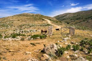 Pohoří Gennargentu – Alessio Orru/Shutterstock