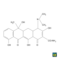 Tetracyklin – CoJeCo.cz (CC BY-SA 4.0)