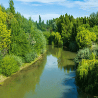 Chubut – Steve Heap / Shutterstock
