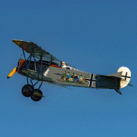 Fokker D VII – jgorzynik / Shutterstock