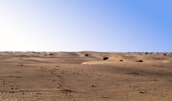 Poušť Thal – Hussain Warraich / Shutterstock