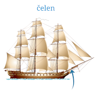 Čelen – elmm/Shutterstock, český popis CoJeCo.cz (CC BY-SA 4.0)