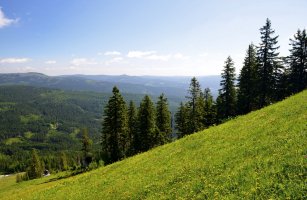 Bavorský les – Vaclav Volrab / Shutterstock