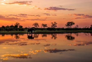 Kwango rozdělující Botswanu a Namibii – Phil Hyde / Shutterstock