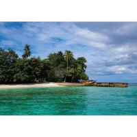 Bougainville – Adam Constanza / Shutterstock