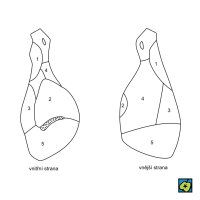 Dělení hovězí kýty – CoJeCo.cz (CC BY-SA 4.0)