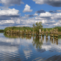 Peene – Stefan Pinter / Shutterstock