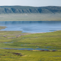 Magadi – Danita Delimont / Shutterstock