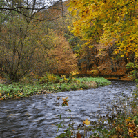 Moravice – Petr Szymonik / Shutterstock