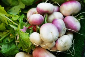 Bulvy brukve řepáku vodnice (Brassica rapa var. rapa) – slowmotiongli / Shutterstock