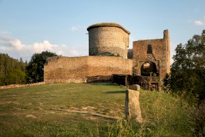 Krakovec – indrova/Shutterstock