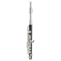Pikola – All Music Instruments/Shutterstock