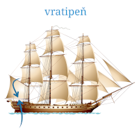 Vratipeň – elmm/Shutterstock, český popis CoJeCo.cz (CC BY-SA 4.0)
