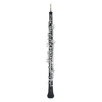 Hoboj – All Music Instruments/Shutterstock