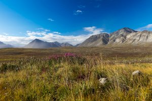 Čukotské pohoří – Konstantin Kopachinsky/Shutterstock