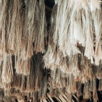 Abaka – lisyl / Shutterstock