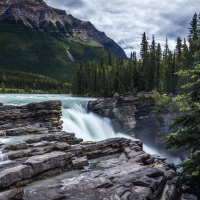 Athabaska – Oleg Mayorov / Shutterstock