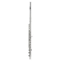 Příčná flétna – All Music Instruments/Shutterstock
