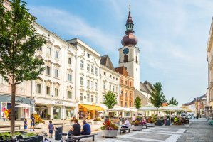 Wels – milosk50 / Shutterstock