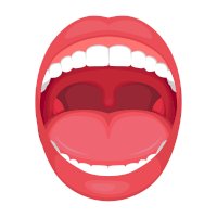 Ústní dutina – eveleen/Shutterstock