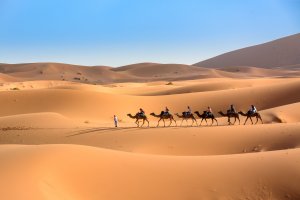 Saharská poušť – TOP67 / Shutterstock