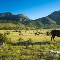 Velebit – Joachim Bago / Shutterstock
