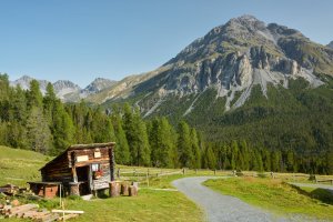 Švýcarský národní park – Michal Stipek / Shutterstock