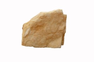 Živec – Skshoot / Shutterstock