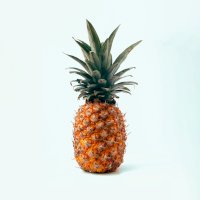 Ananas, plodenství – Photo by Miguel Andrade on Unsplash