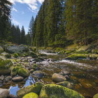 Vydra – Kuttelvaserova Stuchelova / Shutterstock
