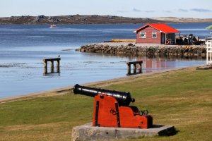 Falklandy – Vijay Chander / Unsplash