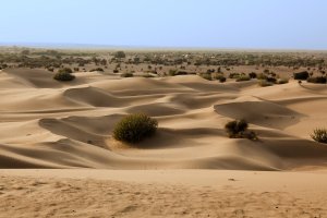 Poušť Thar – OSTILL is Franck Camhi / Shutterstock