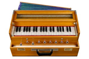 Harmonium – Smileus/Depositphotos.com